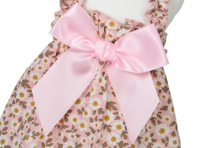Cat Clothes Summer Cat Clothes Kitten Clothes Cute Little Dress for Cats Princess Wind Cat Dress Small Teddy Pet Clothes